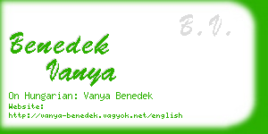 benedek vanya business card